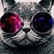 Image result for Trippy Cat Background