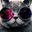 Image result for Trippy Cat Wallpaper Full HD