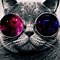 Image result for Trippy Cat Hi Res HD Wallpaper