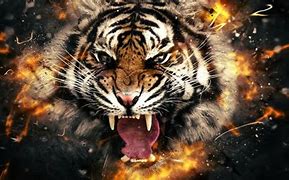 Image result for Tiger Desktop Wallpaper 4K
