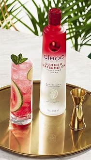 Image result for Summer Watermelon Ciroc Drink Recipes