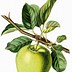 Image result for Apple Art