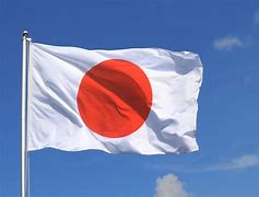 Image result for Japan National Flag