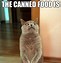 Image result for Cat with Food Meme