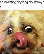 Image result for Pic of Funny Newest Memes