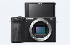 Image result for Sony Alpha 6600