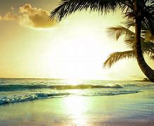 Image result for Tropical Beach 4K HDR Wallpaper