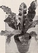 Image result for Florists