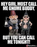 Image result for Girl Gnome Meme