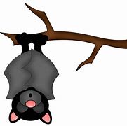 Image result for Bat Sleeping On Stomach Cartoon