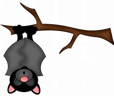 Image result for Bat Sleep Upside Down Cartoon