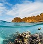 Image result for Best Snorkeling in Maui