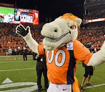 Image result for Denver Broncos Mascot