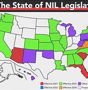 Image result for act�nidl