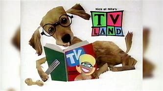 Image result for Nick At Nite's Tv Land