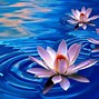 Image result for Lotus Petals Wallpaper