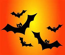 Image result for Cartoon Mexican Bat