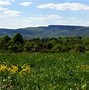 Image result for New Paltz Apple Picking Farms
