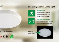 Image result for Ceiling Emergency Lighting