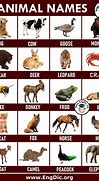 Image result for A to Z Animal List with Names