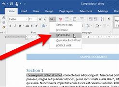 Image result for What Is Sentence Case in Word
