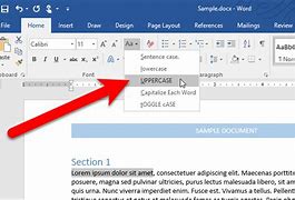 Image result for Microsoft Word Title Case