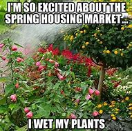 Image result for Spring Real Estate Meme