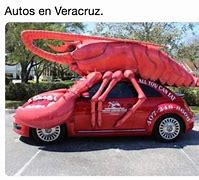 Image result for Memes De Veracruz