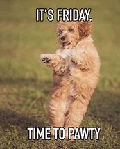 Image result for TGIF Meme