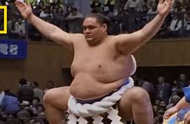Image result for Chinese Sumo Wrestler
