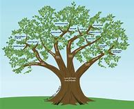 Image result for Family Tree Poster Graphic Design