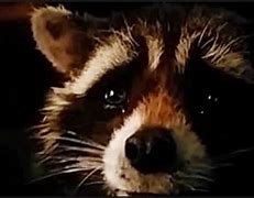 Image result for Rocket Yelling Movie