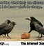 Image result for Funny Bird Memes