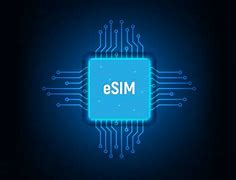 Image result for Manufacture of Physical Sim