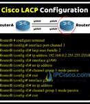 Image result for Lacp Table
