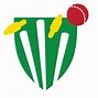 Image result for Cricket Coach