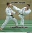 Image result for Karate Meme