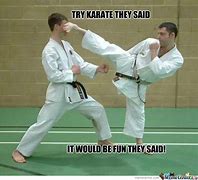 Image result for Karate Funny Moves