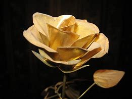 Image result for 10 Rose Gold