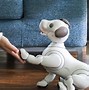 Image result for Robotic Therapy Pets