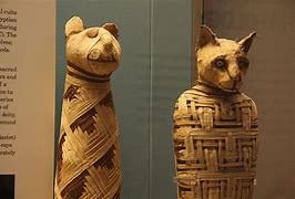 Image result for Mummies of Venzom