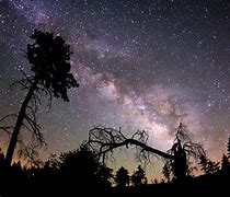 Image result for Milky Way and Trees