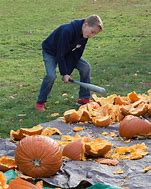 Image result for you get hit with pumpkin