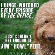 Image result for Dr. Dog Meme