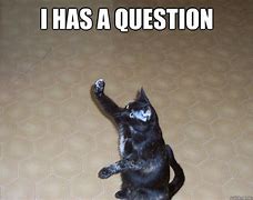 Image result for Question Gray Mark Cat Meme