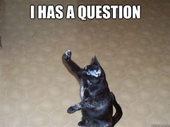 Image result for So Many Questions Animal Meme