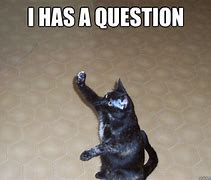 Image result for Question Mark Cat Meme