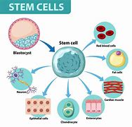 Image result for Stem Cell Symbol
