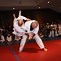 Image result for Ancient Jewish Martial Arts