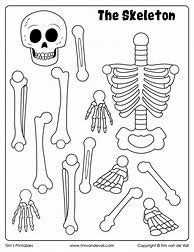 Image result for Halloween Skeleton Printable